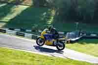 cadwell-no-limits-trackday;cadwell-park;cadwell-park-photographs;cadwell-trackday-photographs;enduro-digital-images;event-digital-images;eventdigitalimages;no-limits-trackdays;peter-wileman-photography;racing-digital-images;trackday-digital-images;trackday-photos